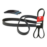Correia Micro V 8pk1490