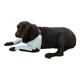 Cotoveleira Protetora De Higroma Para Cachorro Tam. 9