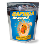 Dafnia Daphnia Magna Cultura Inicial Cistos Ovos