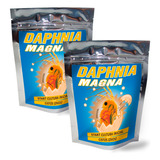 Dafnia Magna Daphnia Magna Cultura Inicial Cistos Ovos
