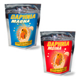 Daphnia Magna E Moina Cistos Ovos