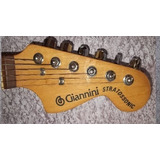 Decal Para Headstock Guitarra Giannini Stratossonic Gg08fn
