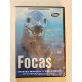 Dvd Focas Documentário Showtime Original Lacrado