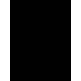 Ensaios