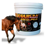 Equicav Casco E Pelo 5kg Suplemento Equino Cavalo Manutenção