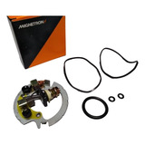 Escova Motor Arranque Twister / Tornado C/ Anéis Isolador
