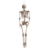 Esqueleto Corpo Humano 40 Cm Medicina Enfermagem Anatomia