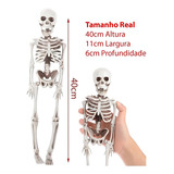 Esqueleto Humano Articulado Anatomia Humana Estudo Medicina