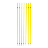 Estacas Para Treinamento Acte 8un 160cm 