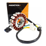 Estator Honda Cbx 250 Twister 2001 Á 2008 Magnetron