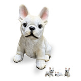 Estátua Pet Decoração Cachorro Filhote Buldogue Realista