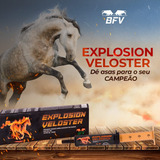 Explosion Veloster - O Segredo Dos Verdadeiros Campeões!
