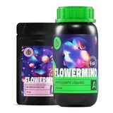 Fertilizante Nutrição Flowermind Kit P Cultivo Indoor Grow