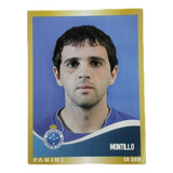 Figurinha Campeonato Brasileiro 2010 Cruzeiro Montillo