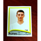 Figurinha Do Elano Do Santos Brasileiro De 2002 Excelente