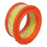 Filtro De Ar Para Compressor Wayne W800 / Chiaperini 40 Pes