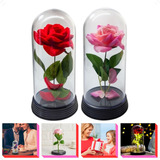 Flor Na Cúpula Rosa Artificial Presente Decorativo Luz Led 