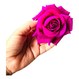 Flor Roxa Violeta De Veludo Para Cabelo Acessório Cigano 