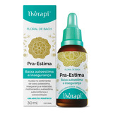 Floral De Bach Baixa Autoestima 30ml - Floral Thérapi Sabor Sem Sabor