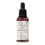 Floral De Bach Premium Depressão 30ml Remédios Florais