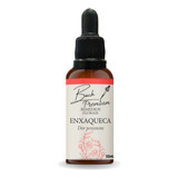 Floral De Bach Premium Enxaqueca 30ml Remédios Florais