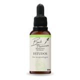 Floral De Bach Premium Estudos Foco 30ml - Remédios Florais