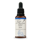 Floral De Bach Premium Tae Autismo 30ml Remédios Florais