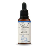 Floral De Bach Premium Vigor Cansaço 30ml -remédios Florais