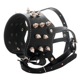 Focinheira De Couro Pitbull Spikes Cor Preto