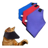 Focinheira Nylon Colorida Para Gatos Conjunto 3 Peças