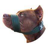 Focinheira Premium Para Cães Grandes Controle E Segurança