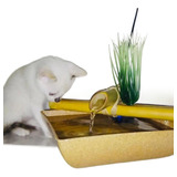 Fonte D'água Artesanal Para Cães Bebedouro Bica De Bambu