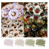 Forminhas Doces Finos 4 Cores Kit 400un Margaridas Casamento Cor Branco, Off, Off Folhinha E Verde Oliva