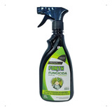 Forth Fungicida Difenoconazol Spray 500ml Pronto Uso