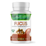 Fucus Vesiculosus 500mg 60 Cápsulas Sabor Natural