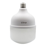 Galaxy T140 Led 110v/220v Branco-frio 50w
