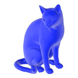 Gato Pelô Curto Brasileiro Pet Azul