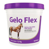 Gelo Flex 1,2kg Pasta A Frio Tópica Equinos Cavalos Vetnil