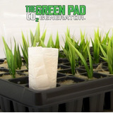 Green Pad Gerador De Co2 P/ Plantas Pequeno Grow Estufa Led