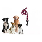 Guia Adestramento De Cães Coleira Unificada Educativa 120cm