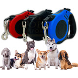 Guia Cachorro Retrátil 5 Metros - Buldogues Yorks Shih Tzus Cor Azul