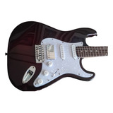 Guitarra Shelter Califórnia Usa
