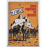 Hq Gibi Tex N° 29 - 1ª Série - 1973 - Ed. Vecchi - Cinco Fugitivos Do Inferno - Faroeste / Velho Oeste