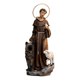 Imagem São Francisco Lobo 25 Cm Resina