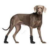 Imo 1007-80 Bota Veterinária Para Cães E Gatos - Tam: G G G