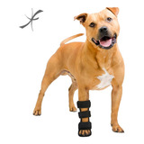 Imo 1008-2 Tala Veterinária P Cão Gato Pata Dianteira- Tam P