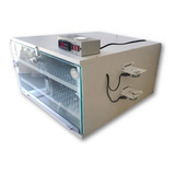 Incubadora Para 240 Ovos Golden C.g. 240 Madeira 220v