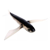 Isca De Pesca Barco De Isca De Peixe Voador
