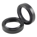 Kit 10 Peças Retentor Zsg 45x75x10