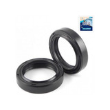 Kit 10 Peças Retentor Zsg 85x105x10